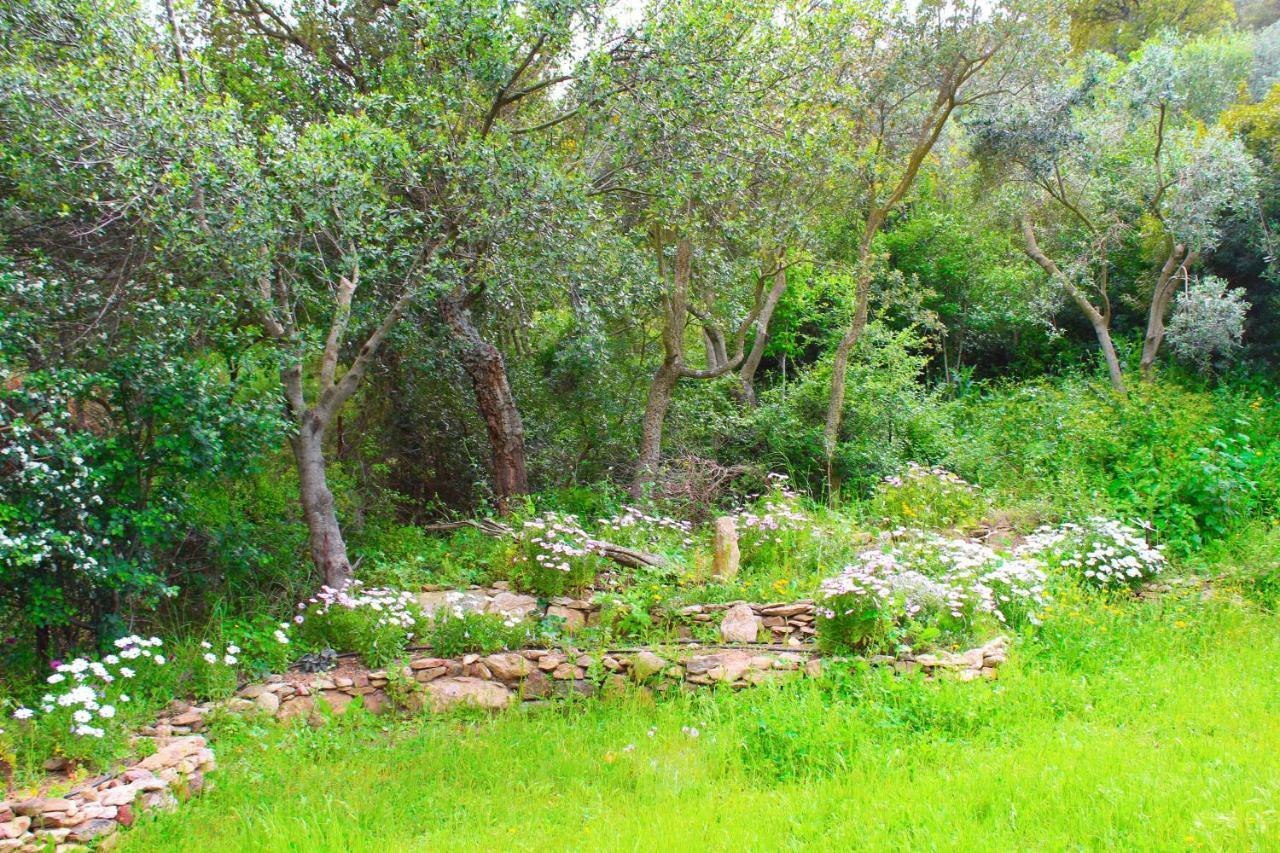 Agriturismo Sogno Latino Iglesias Zewnętrze zdjęcie